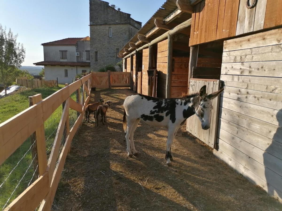 Villa Les Hauts Vallons Puylaroque Dış mekan fotoğraf