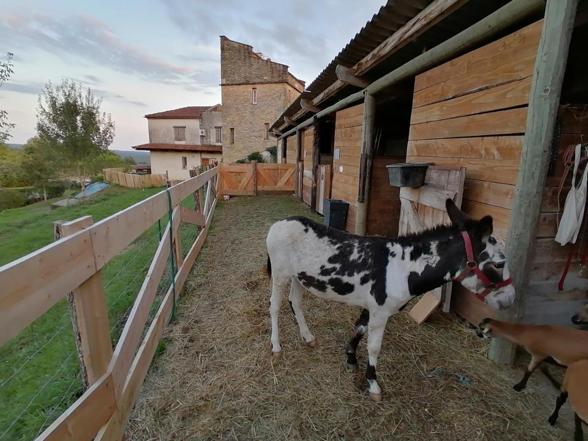 Villa Les Hauts Vallons Puylaroque Dış mekan fotoğraf