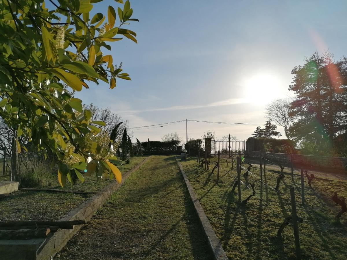 Villa Les Hauts Vallons Puylaroque Dış mekan fotoğraf